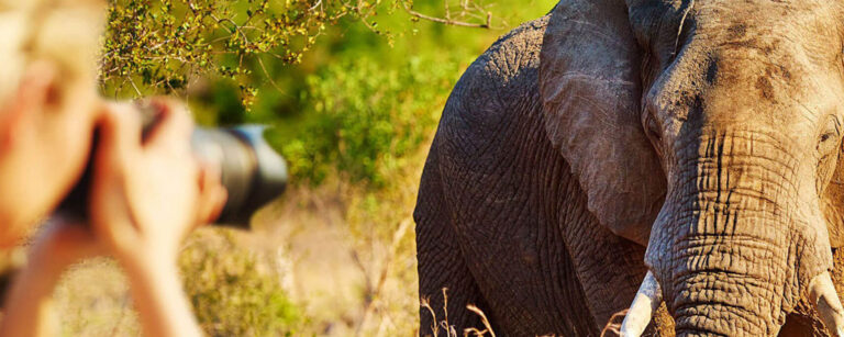 safaris fotográficos