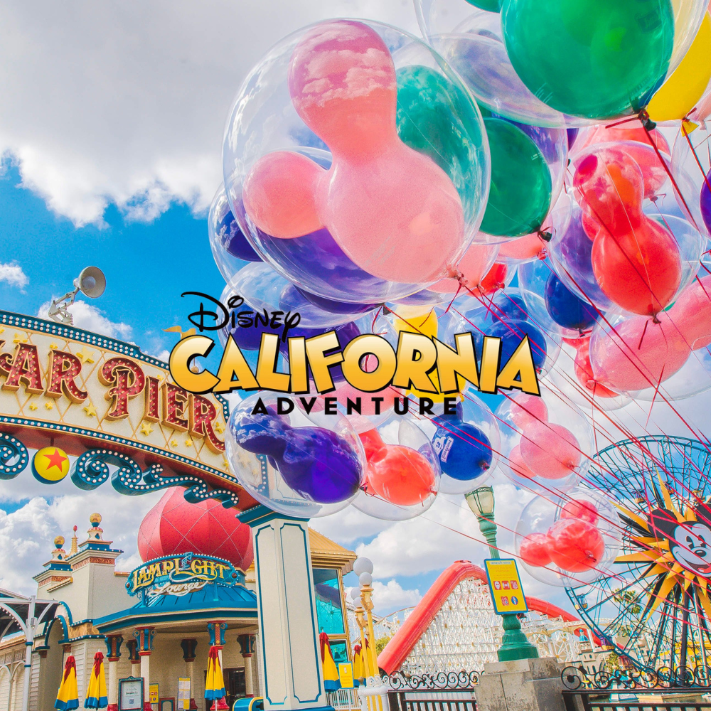 000Disneyland California Web2